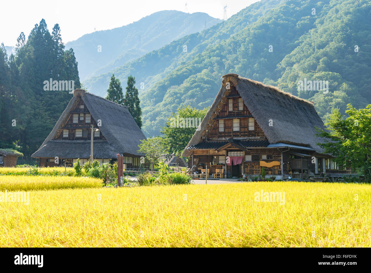 Gassho Zukuri (GasshoStil) Häuser in Suganuma Region Gokayama, Japan