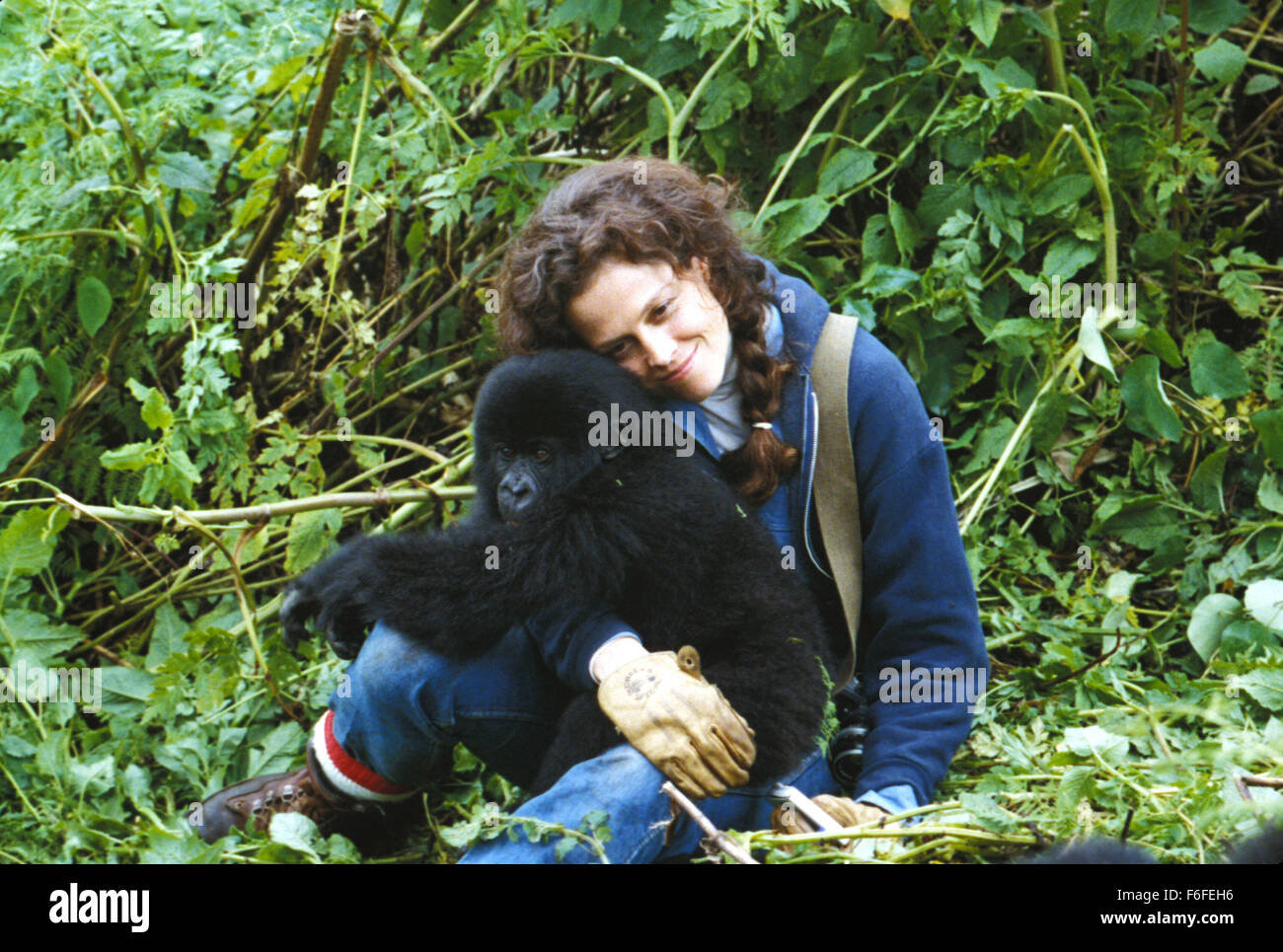 Erscheinungsdatum: 23. September 1988. FILMTITEL: Gorillas im Nebel ...