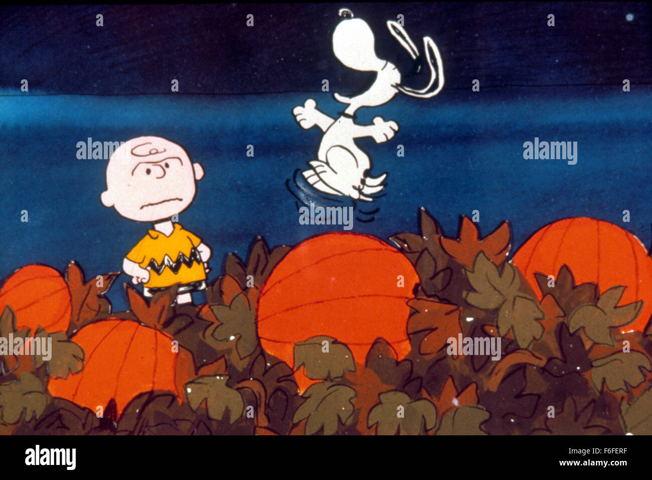 Erscheinungsdatum: 29. Januar 1988. Filmtitel: Snoopy: das Musical. STUDIO: Universal City Studios. Bild: SEAN HOLLING als Stimme von Charlie Brown, CAM CLARKE als Stimme von Snoopy. Stockfoto