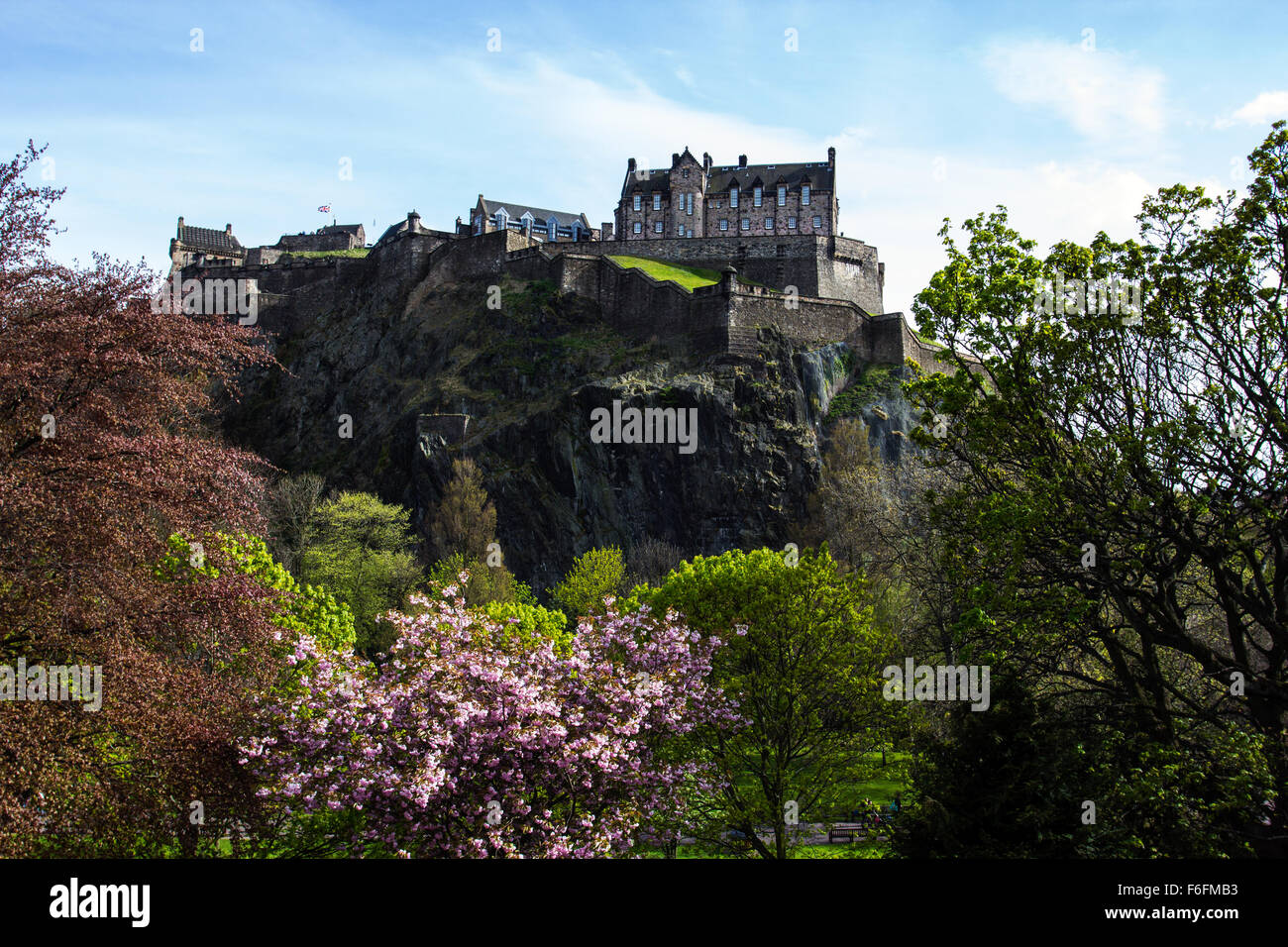 Edinburgh Castle komplett mit einige recht hübsche rosa Blüte. Stockfoto