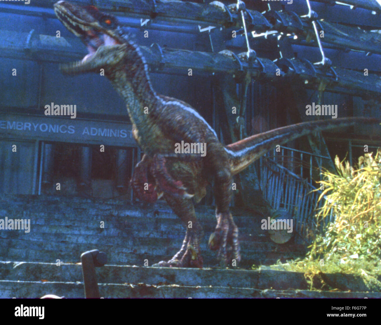 Datum der Freigabe: 19. Mai 1997. FILMTITEL: The Lost World: Jurassic Park. STUDIO: Universal Pictures. PLOT: Der Film holt vier Jahre nach der Katastrophe am Jurassic Park. Auf einer nahe gelegenen Insel Dinosaurier haben heimlich überlebt und durfte frei herumlaufen, aber jetzt gibt es eine bedrohliche Bedrohung--einen Plan zu erfassen und die Dinosaurier mit dem Festland zu bringen. John Hammond, die Kontrolle über seine Firma InGen verloren hat, sieht eine Chance, sich für seine Fehler der Vergangenheit zu erlösen und schickt eine Expedition unter der Leitung von Ian Malcolm, die Insel zu erreichen, bevor das Söldnerteam ans Ziel bringt. Die beiden Gruppen konfrontiert miteinander Stockfoto