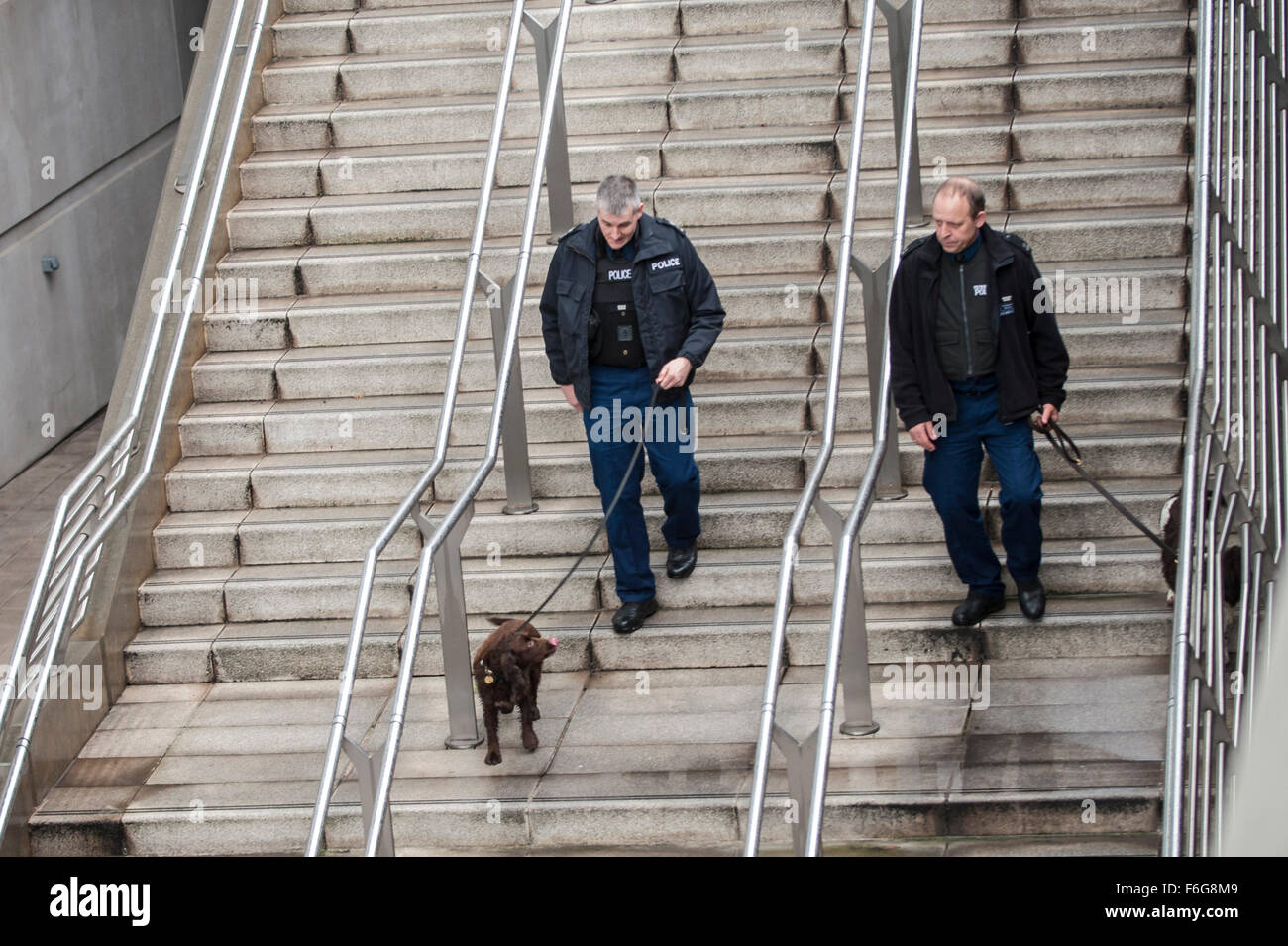 London, UK.  17. November 2015.  Mit Spürhunden Polizeistreife im Wembley-Stadion vor der Fußball freundlich zwischen England und Frankreich. Bildnachweis: Stephen Chung / Alamy Live News Stockfoto