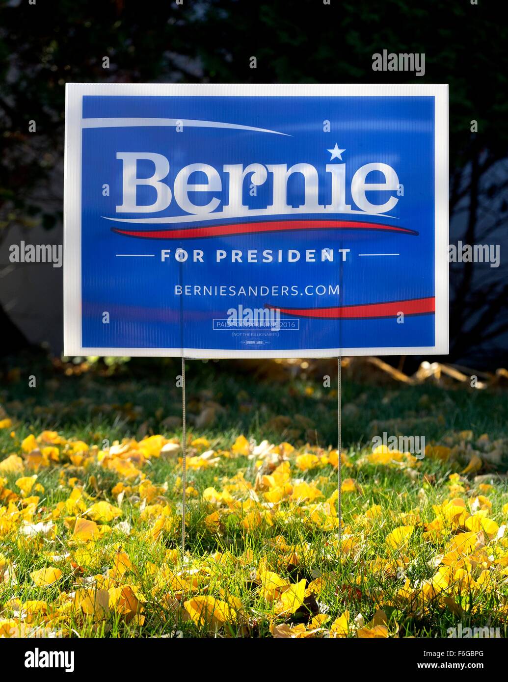 2016 US-Präsidentschaftswahlkampf Hof Zeichen für Bernie Sanders Stockfoto