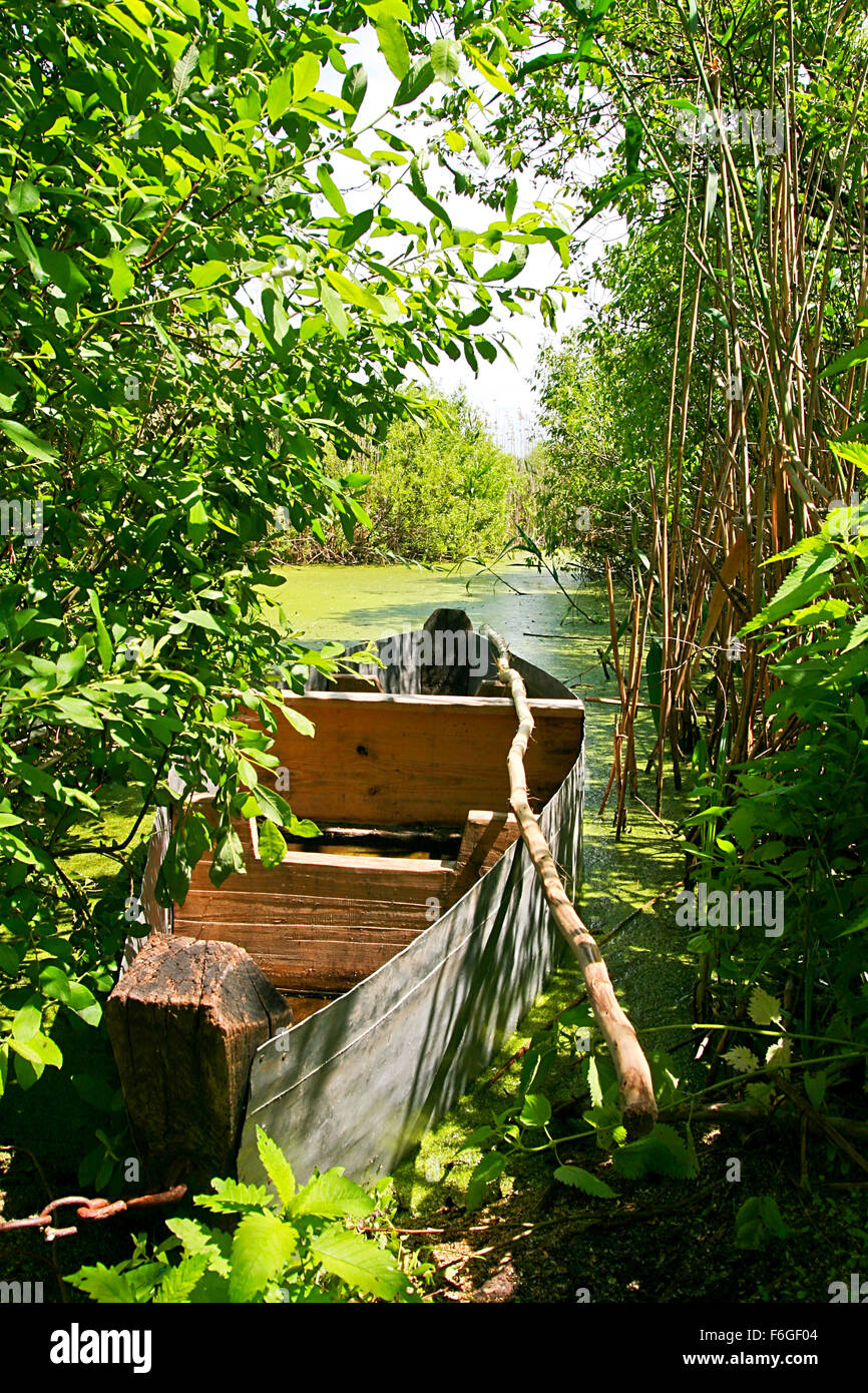Leere Holzboot am Ufer Flusses im Sommer. Kleiner Fluss mit Wasserlinsen auf dem Wasser. Wand von Schilf und Brennesseln Stockfoto