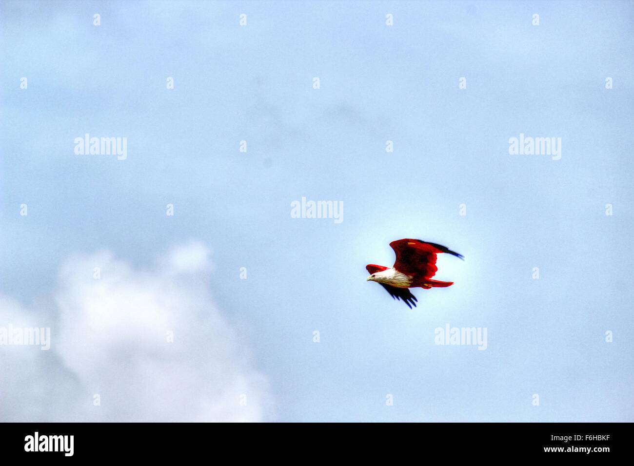 warten auf den richtigen Zeitpunkt Stockfoto