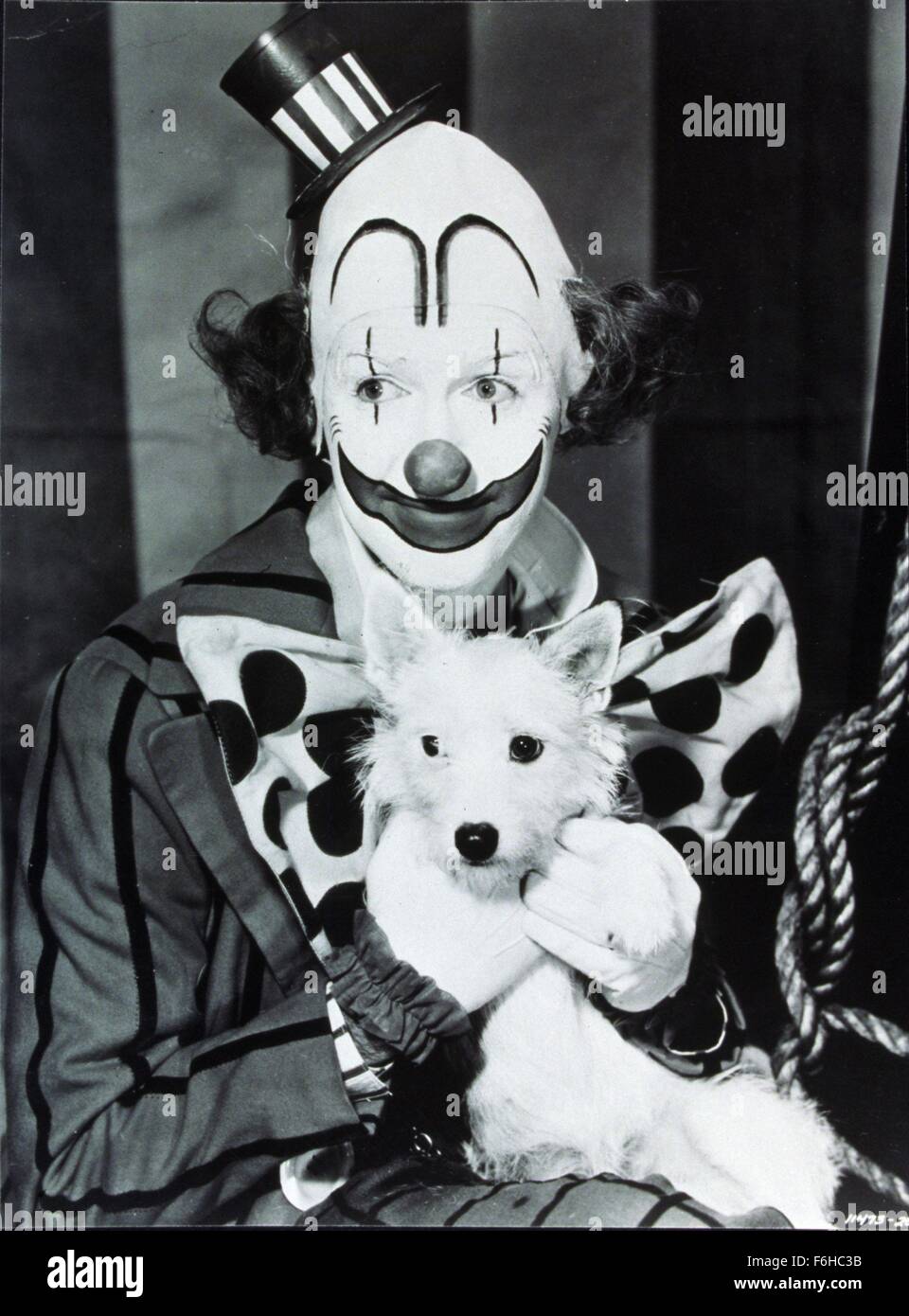 1952, Filmtitel: größte SHOW ON EARTH, Direktor: CECIL B DeMILLE, Studio: PARAMOUNT, Bild: Tiere (mit Schauspielern), Kleidung, CLOWN, CLOWN Make-up, CECIL B DeMILLE, Hund. (Bild Kredit: SNAP) Stockfoto
