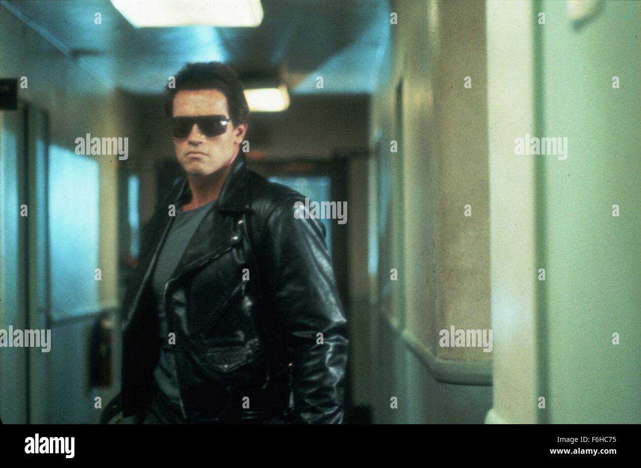 Erscheinungsdatum: 26. Oktober 1984 Film Titel: The Terminator-Regie: James Cameron STUDIO: Hemdale Film PLOT: ein Cyborg aus der Zukunft auf eine tödliche Mission geschickt. Er hat Sarah Connor, eine junge Frau zu töten, dessen Leben in kommenden Jahren eine große Bedeutung haben wird. Sarah hat nur einen Beschützer - Kyle Reese - auch aus der Zukunft geschickt. Der Terminator seine außergewöhnliche Intelligenz und Stärke verwendet, um Sarah zu finden, aber gibt es eine Möglichkeit, die scheinbar unzerstörbare Cyborg Bild zu stoppen: ARNOLD SCHWARZENEGGER als Terminator (Credit Bild: C Hemdale Filmunterhaltung/Bilder) Stockfoto