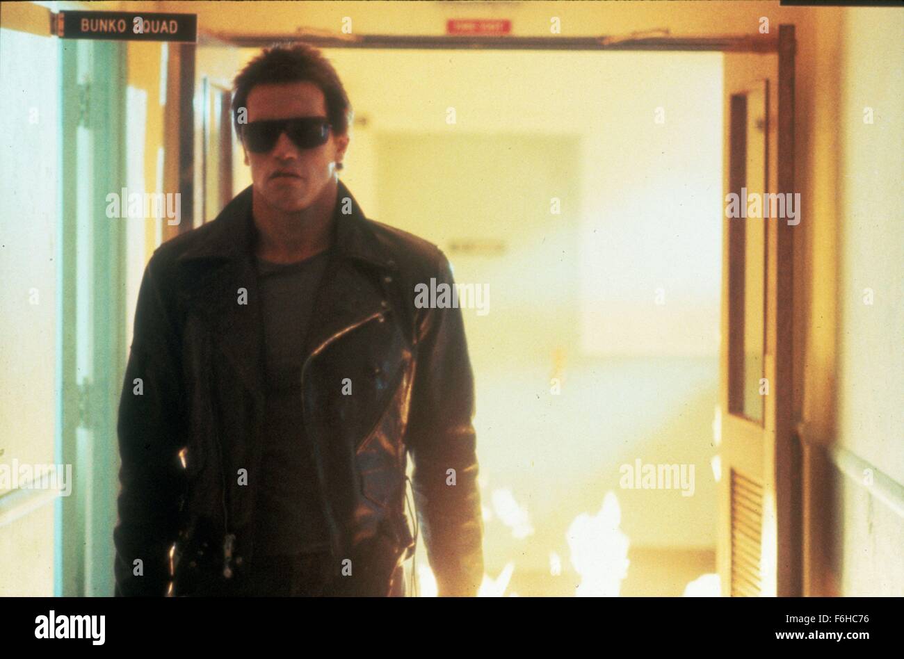 Erscheinungsdatum: 26. Oktober 1984 Film Titel: The Terminator-Regie: James Cameron STUDIO: Hemdale Film PLOT: ein Cyborg aus der Zukunft auf eine tödliche Mission geschickt. Er hat Sarah Connor, eine junge Frau zu töten, dessen Leben in kommenden Jahren eine große Bedeutung haben wird. Sarah hat nur einen Beschützer - Kyle Reese - auch aus der Zukunft geschickt. Der Terminator seine außergewöhnliche Intelligenz und Stärke verwendet, um Sarah zu finden, aber gibt es eine Möglichkeit, die scheinbar unzerstörbare Cyborg Bild zu stoppen: ARNOLD SCHWARZENEGGER als Terminator (Credit Bild: C Hemdale Filmunterhaltung/Bilder) Stockfoto