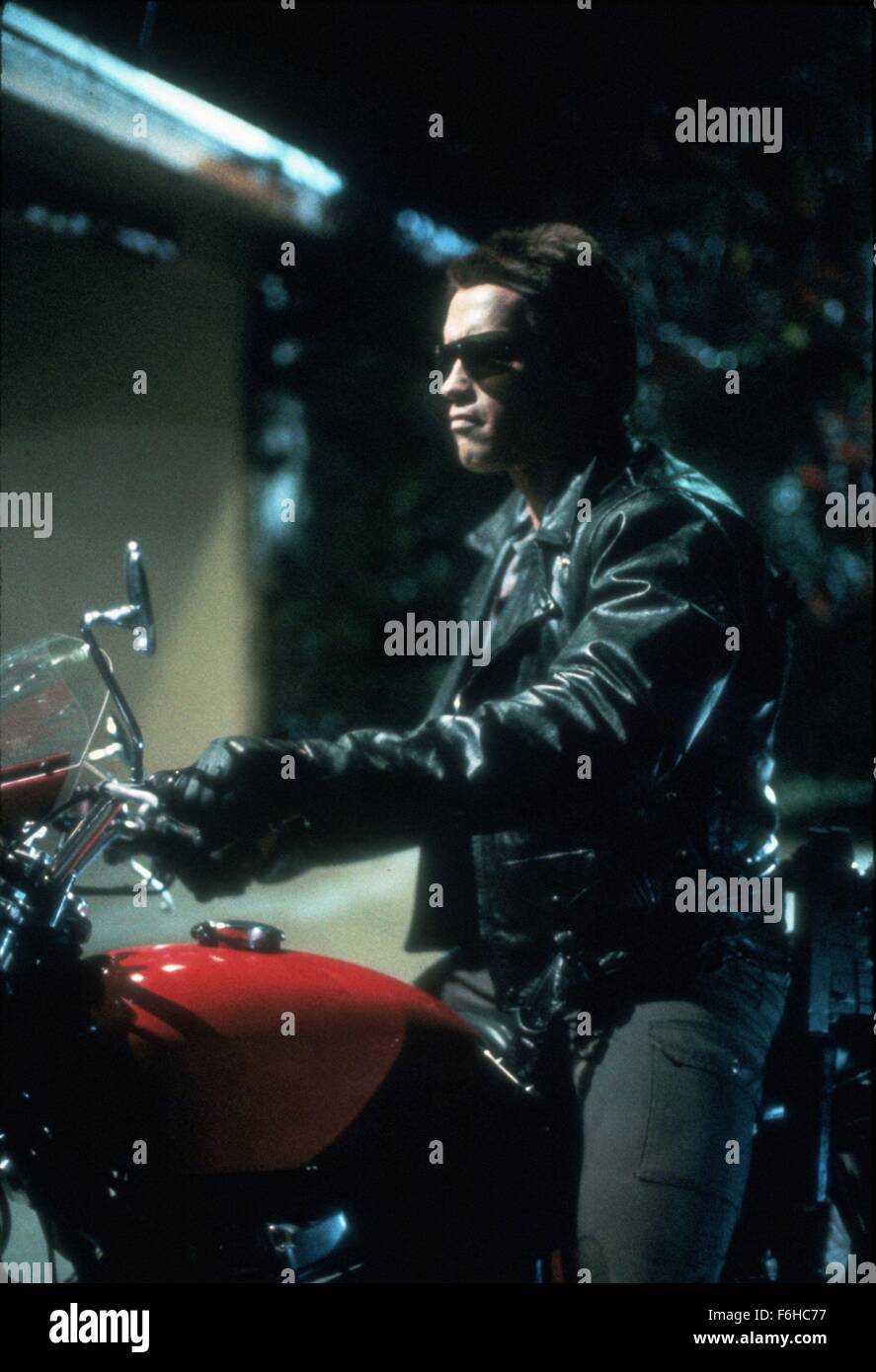 Erscheinungsdatum: 26. Oktober 1984 Film Titel: The Terminator-Regie: James Cameron STUDIO: Hemdale Film PLOT: ein Cyborg aus der Zukunft auf eine tödliche Mission geschickt. Er hat Sarah Connor, eine junge Frau zu töten, dessen Leben in kommenden Jahren eine große Bedeutung haben wird. Sarah hat nur einen Beschützer - Kyle Reese - auch aus der Zukunft geschickt. Der Terminator seine außergewöhnliche Intelligenz und Stärke verwendet, um Sarah zu finden, aber gibt es eine Möglichkeit, die scheinbar unzerstörbare Cyborg Bild zu stoppen: ARNOLD SCHWARZENEGGER als Terminator (Credit Bild: C Hemdale Filmunterhaltung/Bilder) Stockfoto
