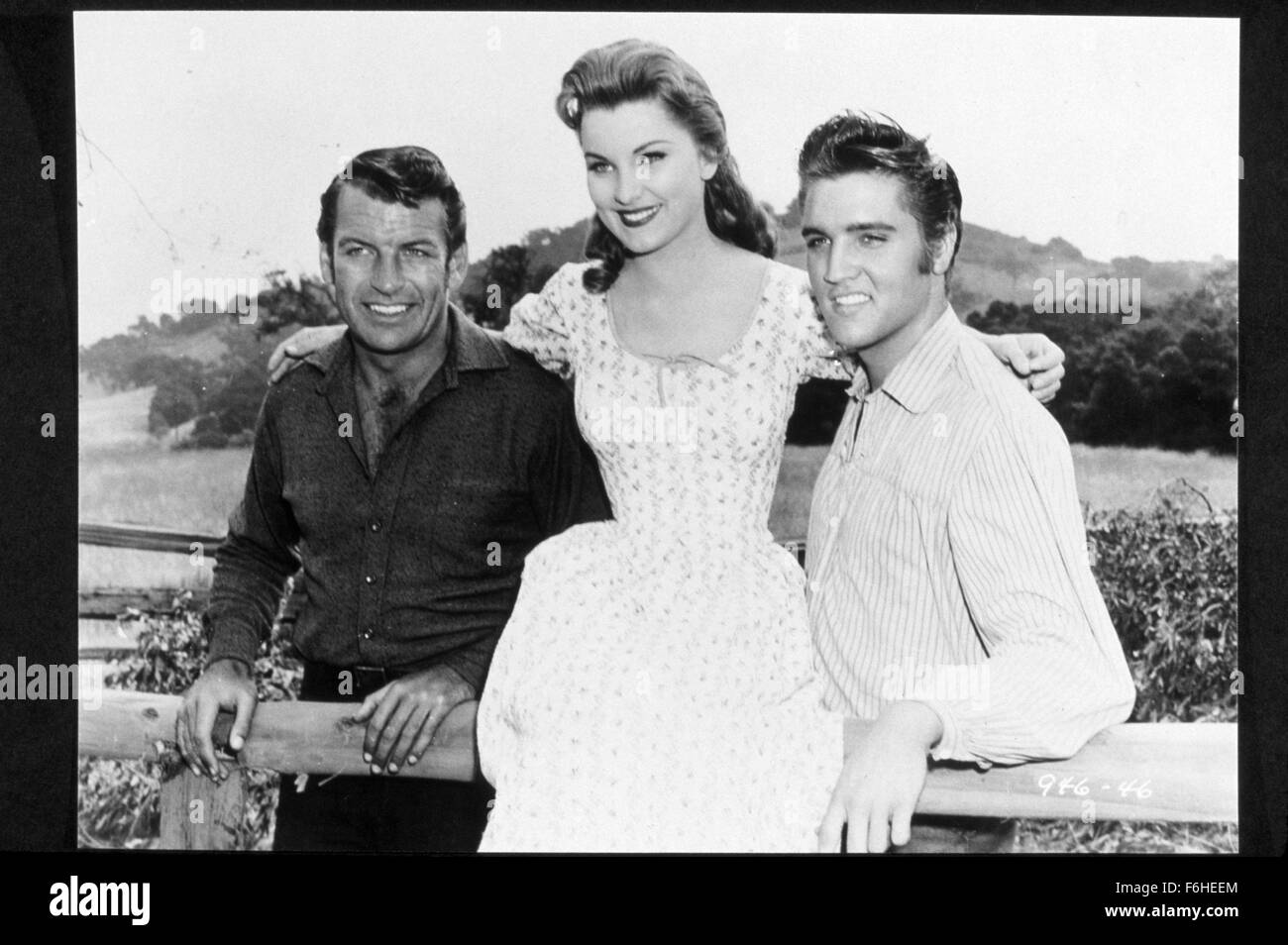1956, Filmtitel: LOVE ME TENDER, Direktor: ROBERT D WEBB, Studio: FOX, im Bild: RICHARD EGAN, DEBRA PAGET, ELVIS PRESLEY. (Bild Kredit: SNAP) Stockfoto