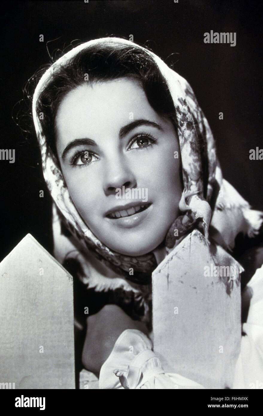 1946, Filmtitel: Mut von LASSIE, Regie: FRED WILCOX, Studio: MGM, abgebildet: ELIZABETH TAYLOR, PORTRAIT, STUDIO, HEAD Schal, LÄCHELND, LATTENZAUN. (Bild Kredit: SNAP) Stockfoto