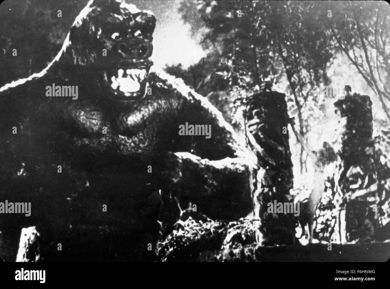 Filmtitel 1933: KING KONG, Regie: MERIAN C COOPER, Studio: RKO, abgebildet: MERIAN C COOPER. (Bild Kredit: SNAP) Stockfoto