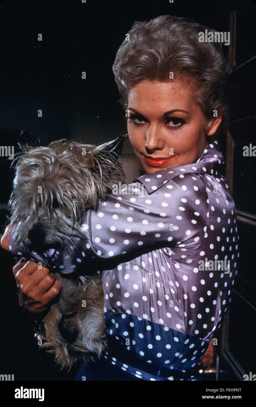 1957, Filmtitel: PAL JOEY, Regie: GEORGE SIDNEY, Studio: COLUMBIA, im Bild: Tiere (mit Schauspielern), Hund, KIM NOVAK. (Bild Kredit: SNAP) Stockfoto