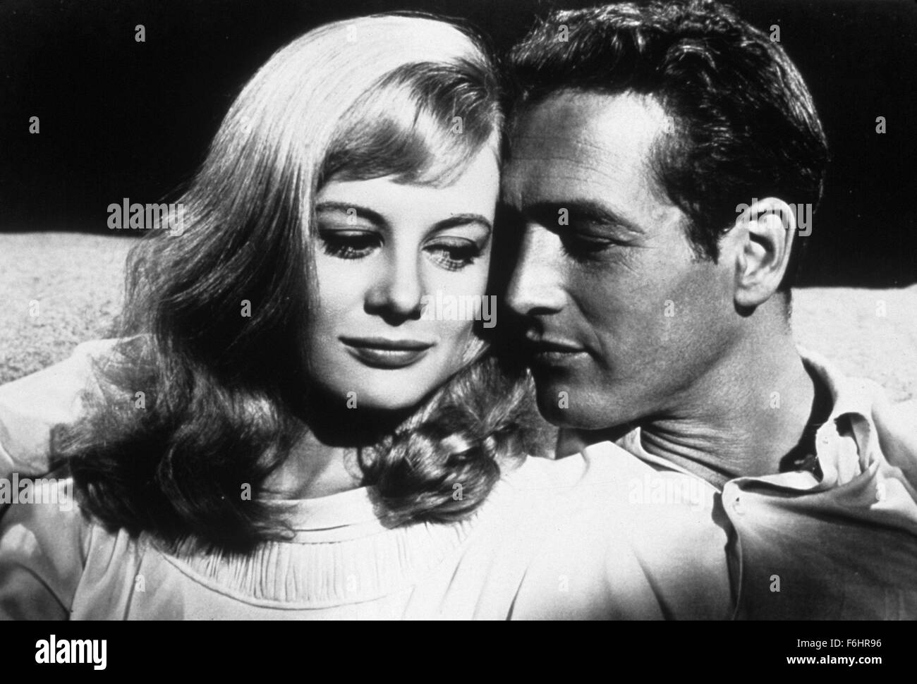 1962, Filmtitel: Süßer Vogel Jugend, Regie: RICHARD BROOKS, Studio: MGM, im Bild: RICHARD BROOKS, SHIRLEY KNIGHT. (Bild Kredit: SNAP) Stockfoto