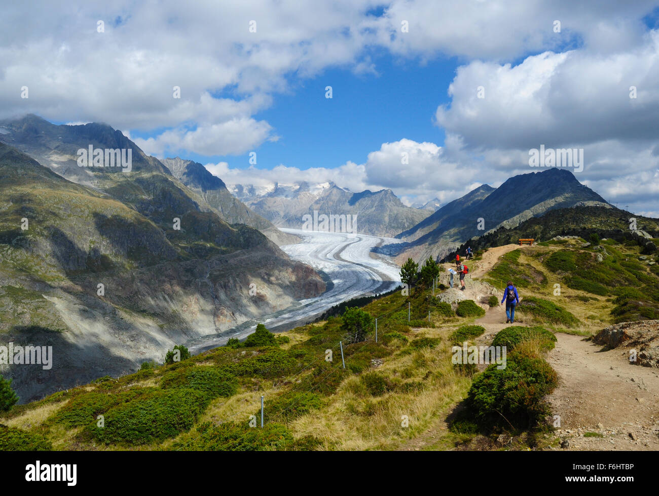 Hohfluh und Grossen Aletschgletschers, Wallis, Schweiz Stockfoto