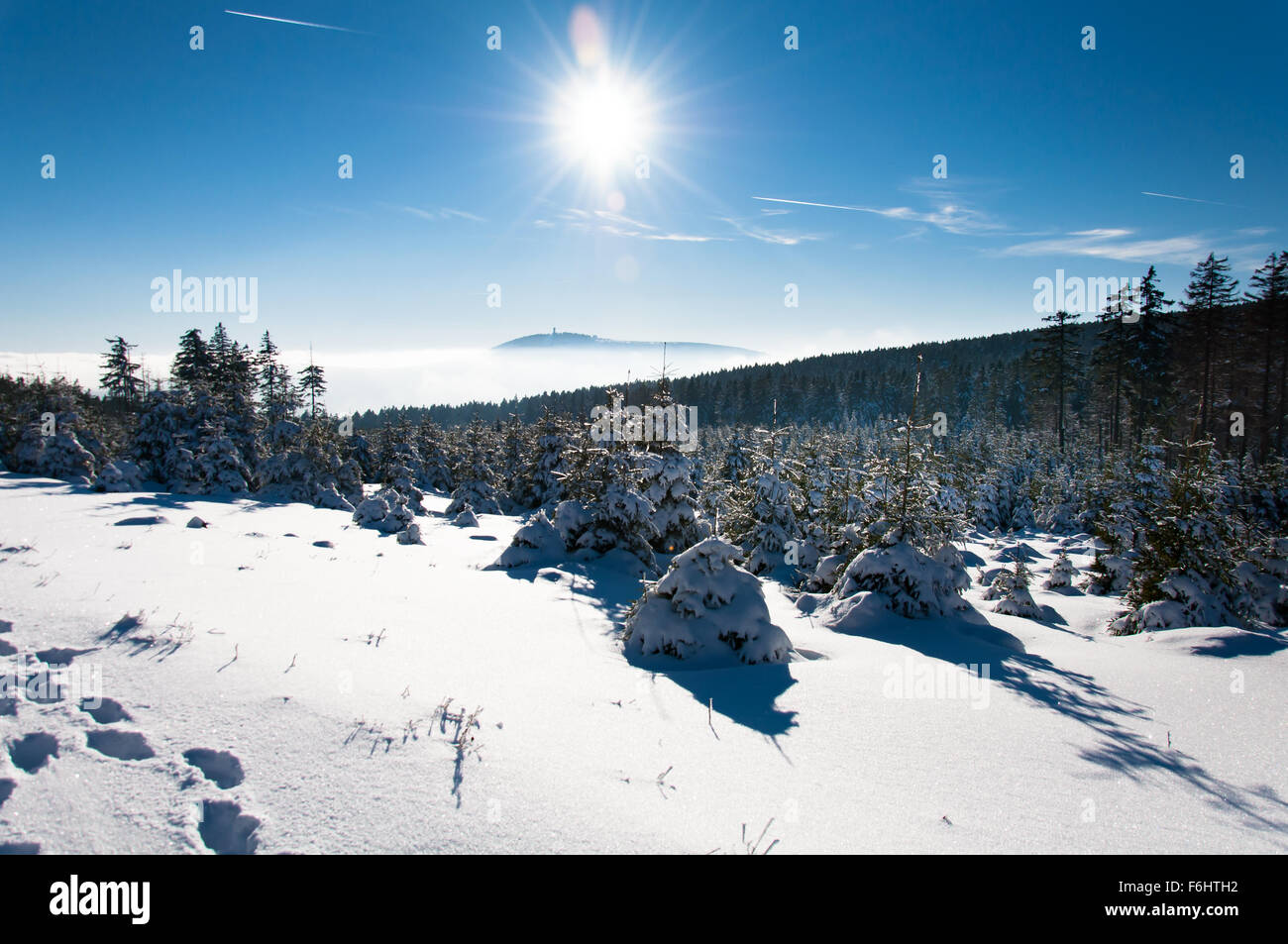 Winterlandschaft im Harz Stockfoto