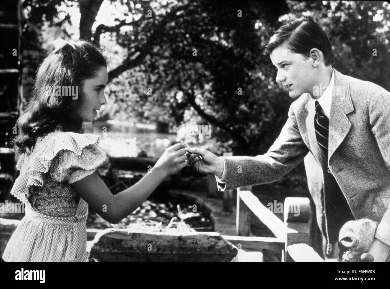 1943, Filmtitel: LASSIE COME HOME, Regie: FRED M WILCOX, Studio: MGM, abgebildet: RODDY McDOWALL, ELIZABETH TAYLOR, junge trifft Mädchen, geben, FILM noch. (Bild Kredit: SNAP) Stockfoto