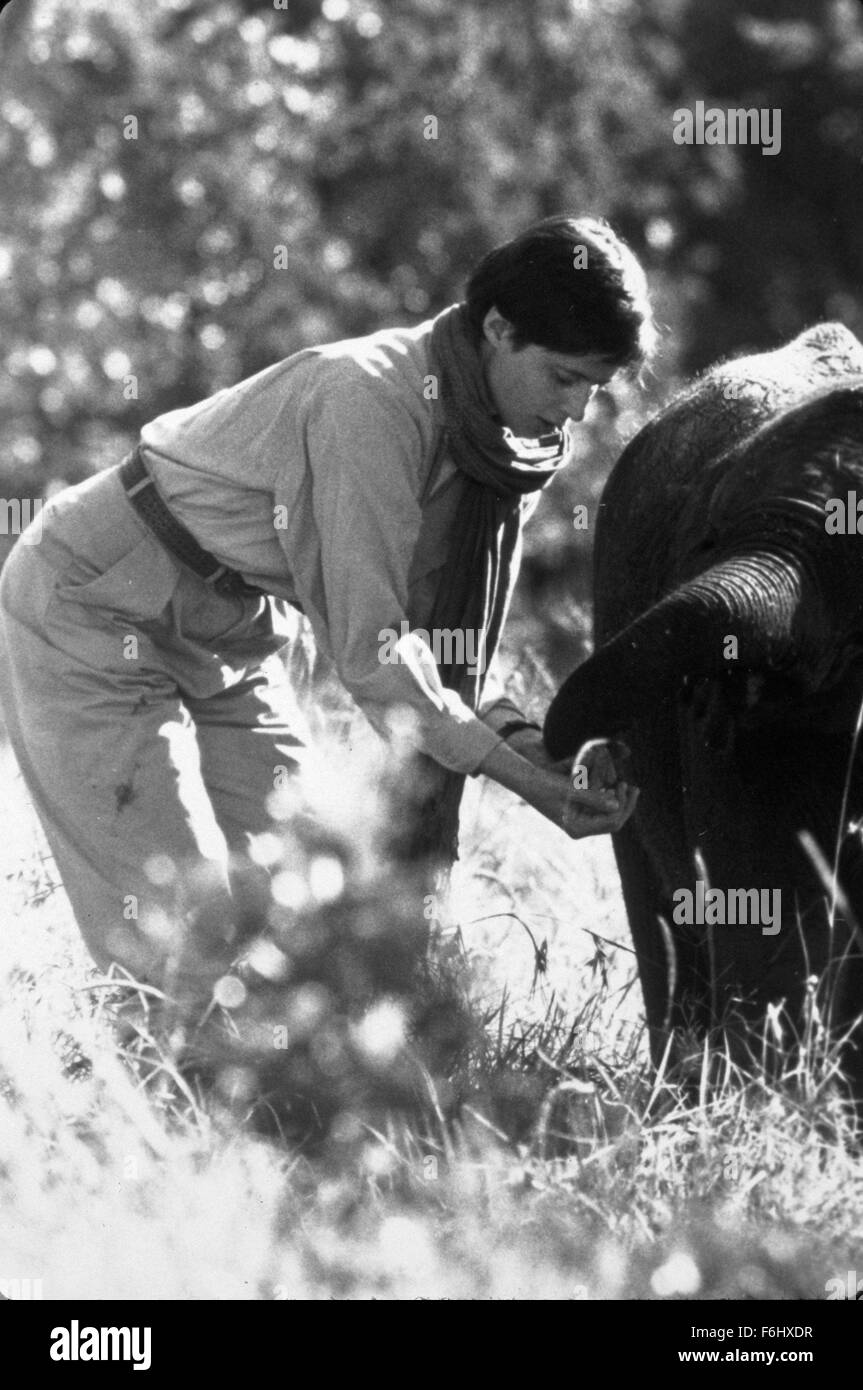 Datum der Freigabe: 20. August 1990 Film Titel: Elfenbein Jäger aka letzten Elefanten STUDIO: Turner Bilder Regie: Joseph Sargent PLOT: Autor entdeckt, dass seine fehlende wissenschaftliche Mitarbeiterin verschwinden möglicherweise illegalen Handel mit Elfenbein Stoßzähne verwandt sind.   Im Bild: ISABELLA ROSSELLINI als Maria DiConti.   (Bild Kredit: C Turner Bilder/Unterhaltung Bilder) Stockfoto