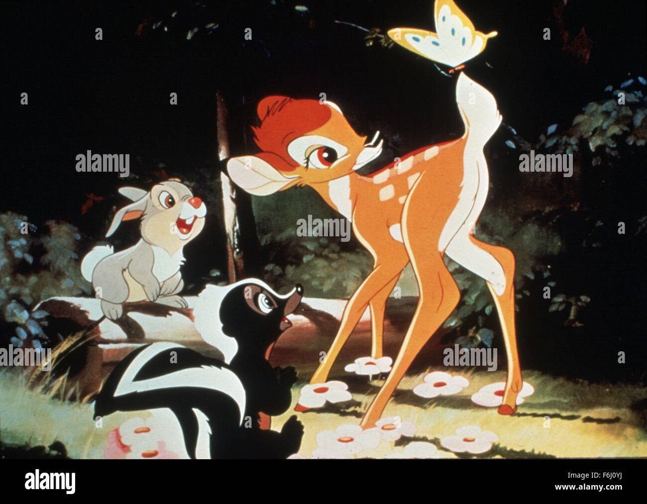 Bambi Bild Kitchen Impossible Kaufen: Ein Leitfaden zur ultimativen Kochkunst