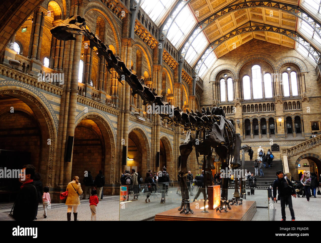 Eine Diplodocus-Skelett-Besetzung, liebevoll bekannt als Dippy, auf dem Display im Hintze Hall, Natural History Museum, London UK - Stockfoto