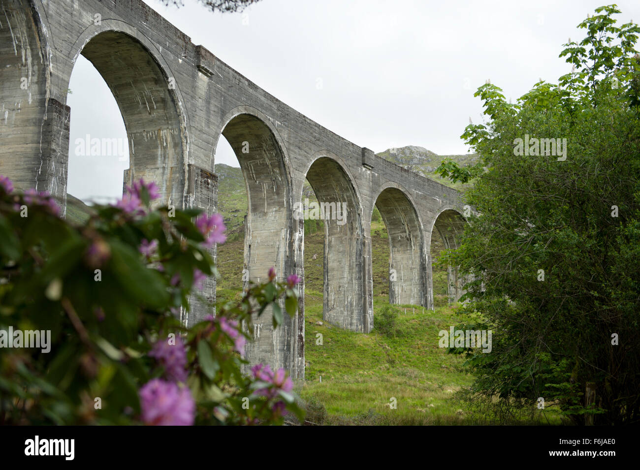 Glenfinnan-Viadukt in den Highlands von Schottland.  Die 21 gewölbte Viadukt wurde von Robert McAlpine zwischen 1897 und 1901 erbaut. Stockfoto