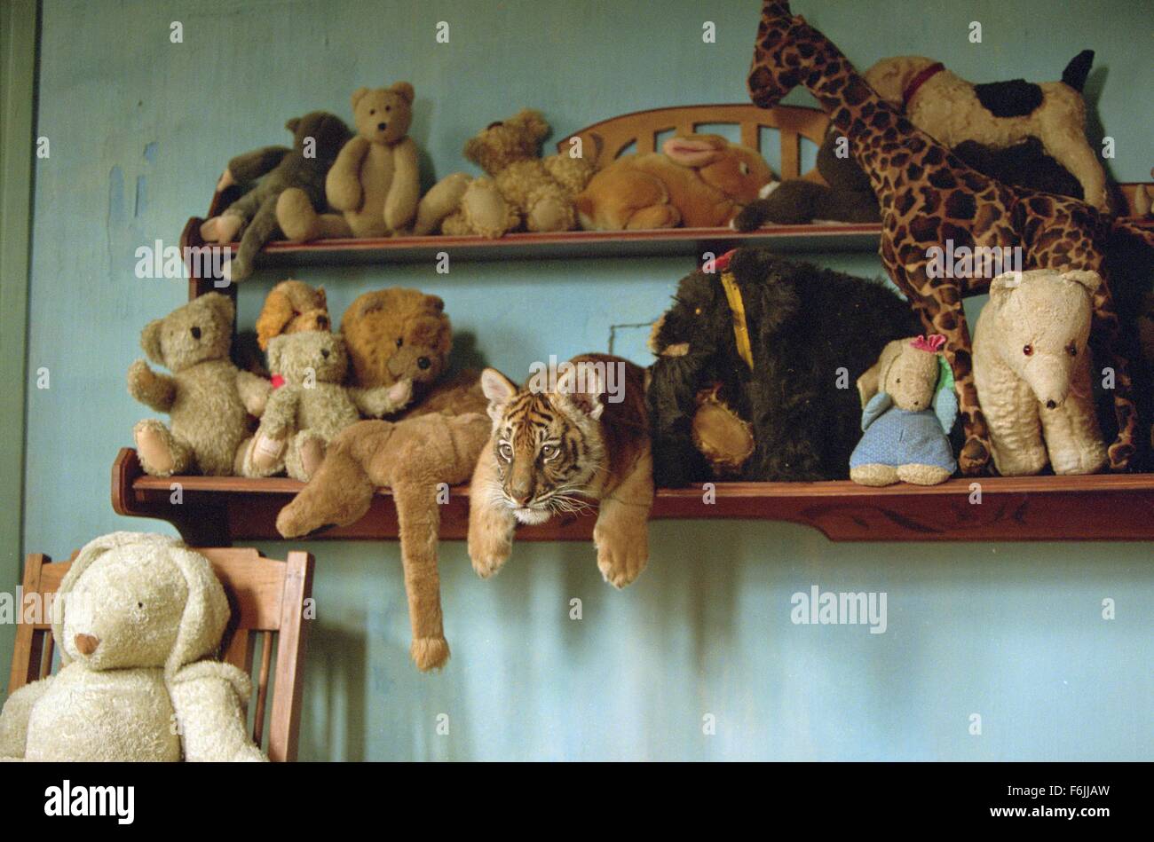 Datum der Freigabe: 25. Juni 2004. FILMTITEL: Zwei Brüder. STUDIO: Pathe. PLOT: Zwei Tiger sind als Jungtiere getrennt berücksichtigt und Gefangenschaft, nur um Jahre später als Feinde durch eine Explorer (Pearce) zusammengeführt werden, die versehentlich sie zwingt, einander zu kämpfen. IM BILD:. Stockfoto