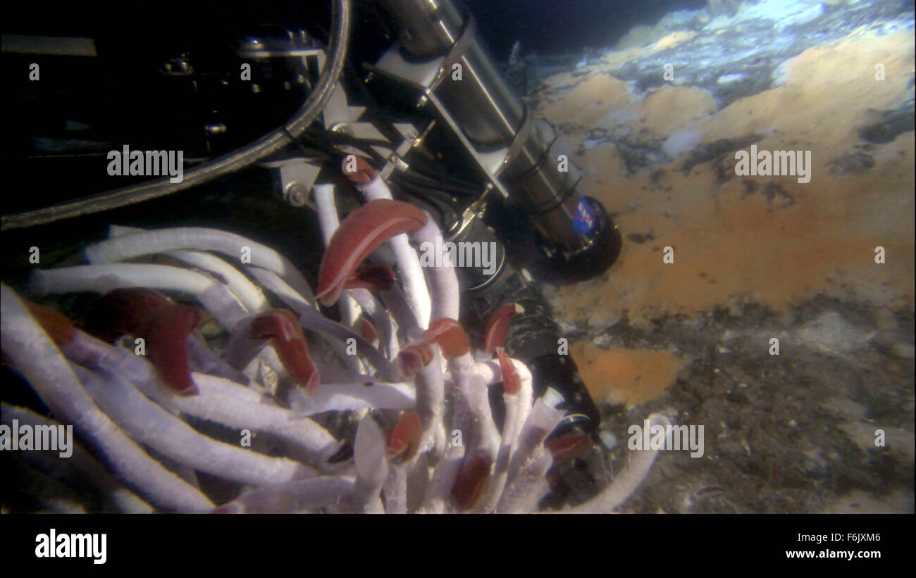 Erscheinungsdatum: 28. Januar 2005 Film Titel: Aliens von der tiefen STUDIO: Buena Vista Bilder Regisseur: James Cameron, Steven Quale PLOT: James Cameron verbündet sich mit NASA-Wissenschaftler, der mittelozeanische Rücken, eine versunkene Kette der Berge zu erkunden, dass Band der Erde und sind Heimat einiger der einzigartigsten Lebensformen unseres Planeten.   Bild: Szene aus dem Dokumentarfilm.   (Bild Kredit: C Buena Vista Pictures/Entertainment Bilder) Stockfoto