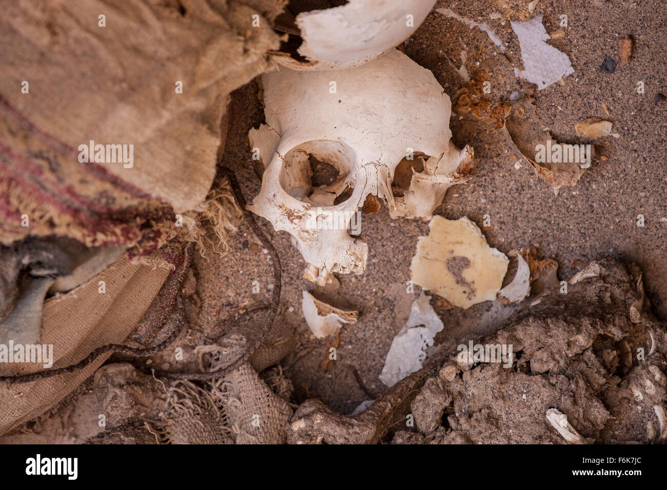 Zerschmetterten menschlichen Schädel und andere Knochen (Chauchilla Friedhof, Peru) sortiert. Stockfoto