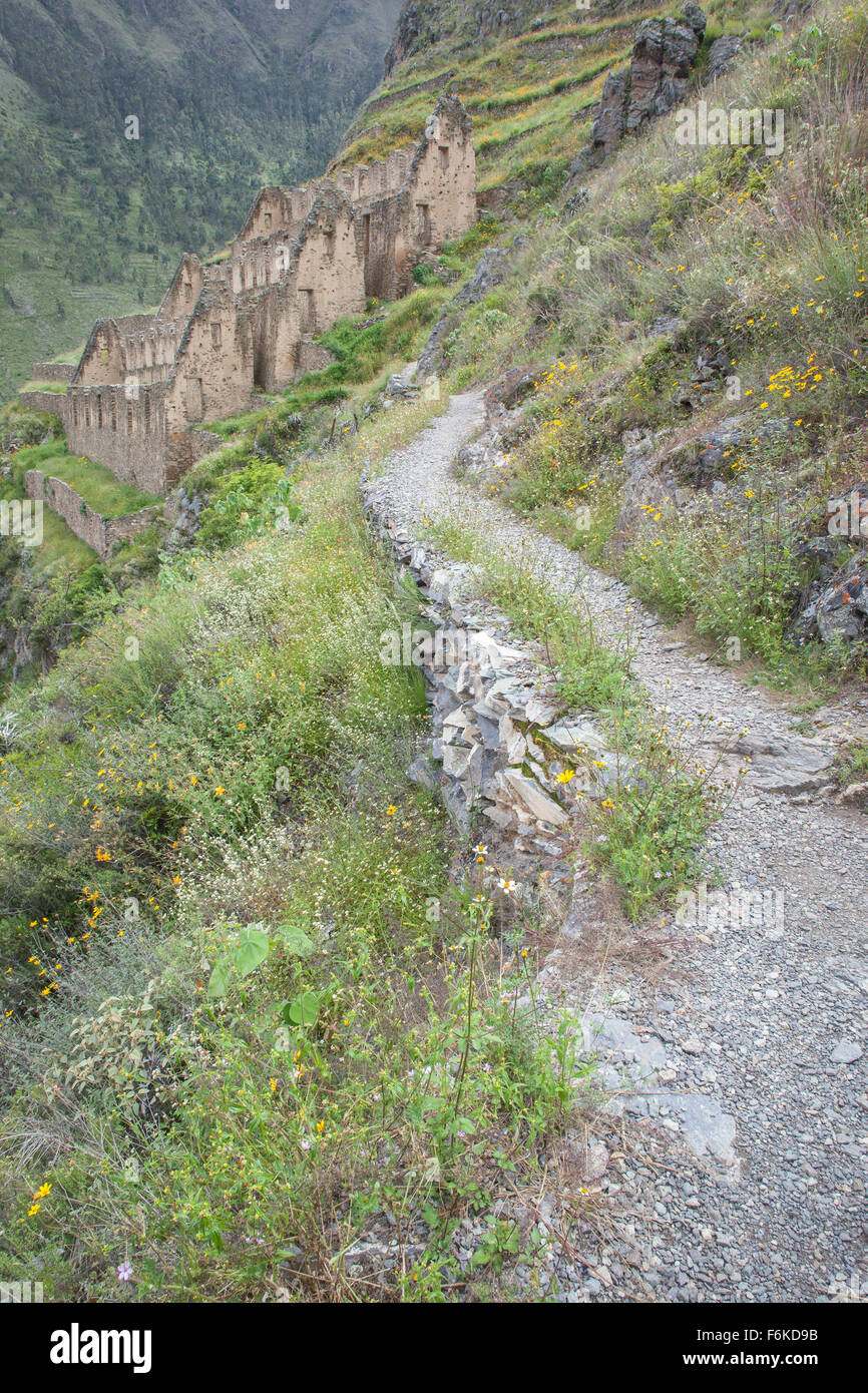 Weg zur alten Inka-Ruinen in der Nähe von Ollantaytambo, Peru. Stockfoto