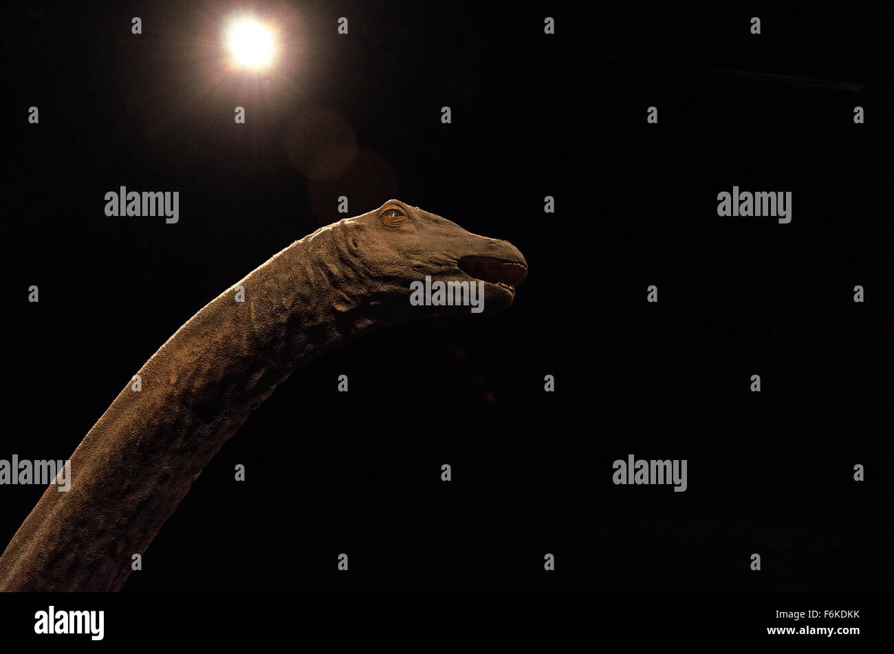 Ein dramatisch ausgeleuchteten Dinosaurier am American Museum of Natural History, New York. Stockfoto