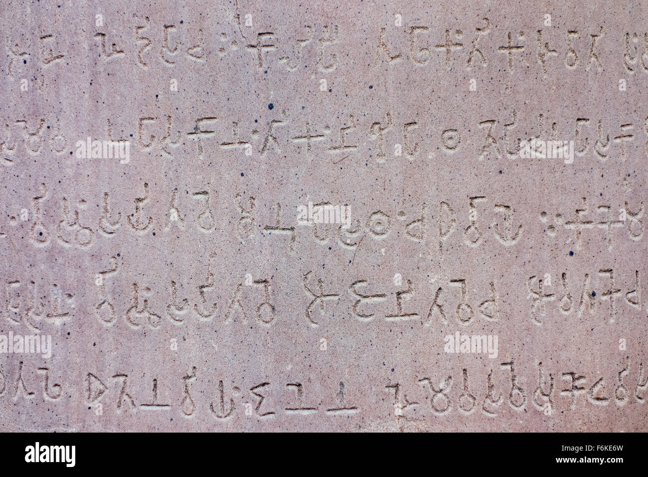 Alten Text auf einer der Ashokan Pfeiler (Sarnath, Uttar Pradesh, Indien). Stockfoto