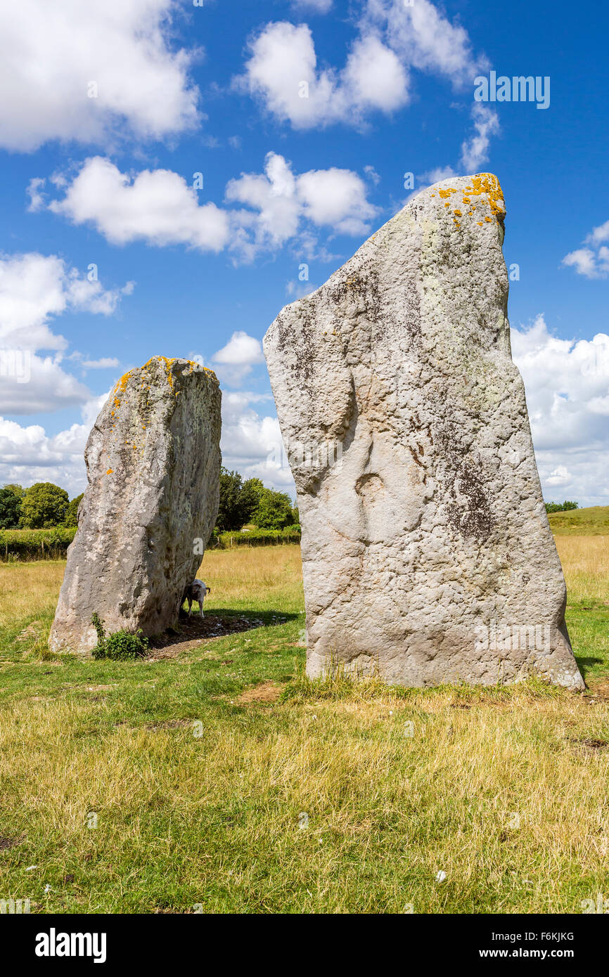 Avebury neolithischen Menhir Kreis, Wiltshire, England, Europa. Stockfoto
