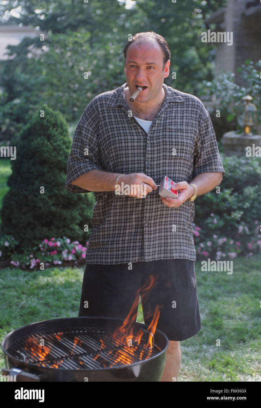 19. Juni 2013 - Datei - James Gandolfini, Star der HBO Serie "The Sopranos ist an einem Herzinfarkt in Rom gestorben. Er war 51. Gandolfino war bekannt für seine Rolle als Tony Soprano in der HBO-Serie "The Sopranos". Bild: JAMES GANDOLFINI als New Jersey ansässigen Italienisch-amerikanische Gangster Tony Soprano. (Bild Kredit: C HBO/Unterhaltung Bilder) Stockfoto