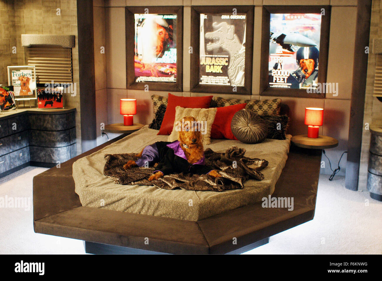 15. März 2007 - Toronto, ON, Kanada - RELEASE Datum: 4. April 2007 (USA). Regie: Todd Holland. STUDIO: C.O.R.E digitale Bilder/Regency Kultur. PLOT: Rexxx, oberen Eckzahn Hollywoodstar, verloren geht und in einem schäbigen Feuerwache angenommen wird. Er arbeitet mit einem jungen Kind (Hutcherson) zu der Station wieder auf die Beine. Im Bild: REXXX, Firehouse Dog. (Bild Kredit: C Bruce Macaulay/Regency Enterprises) Einschränkungen: Dies ist ein öffentlich verbreiteten Film, Fernsehen oder Werbung Foto. Non-redaktionelle Verwendung erfordern zusätzliche Freiräume. Stockfoto