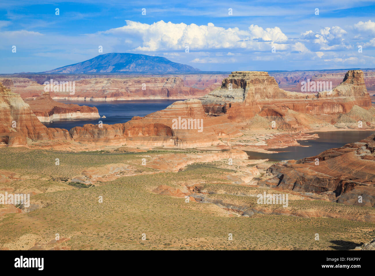 Lake Powell und Gunsight Butte in der Nähe von großen Wasser, Utah, mit Navajo Berg in der Ferne Stockfoto
