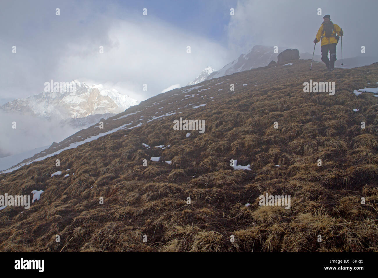 Trekker auf Kopra Grat in den Annapurnas absteigend Stockfoto