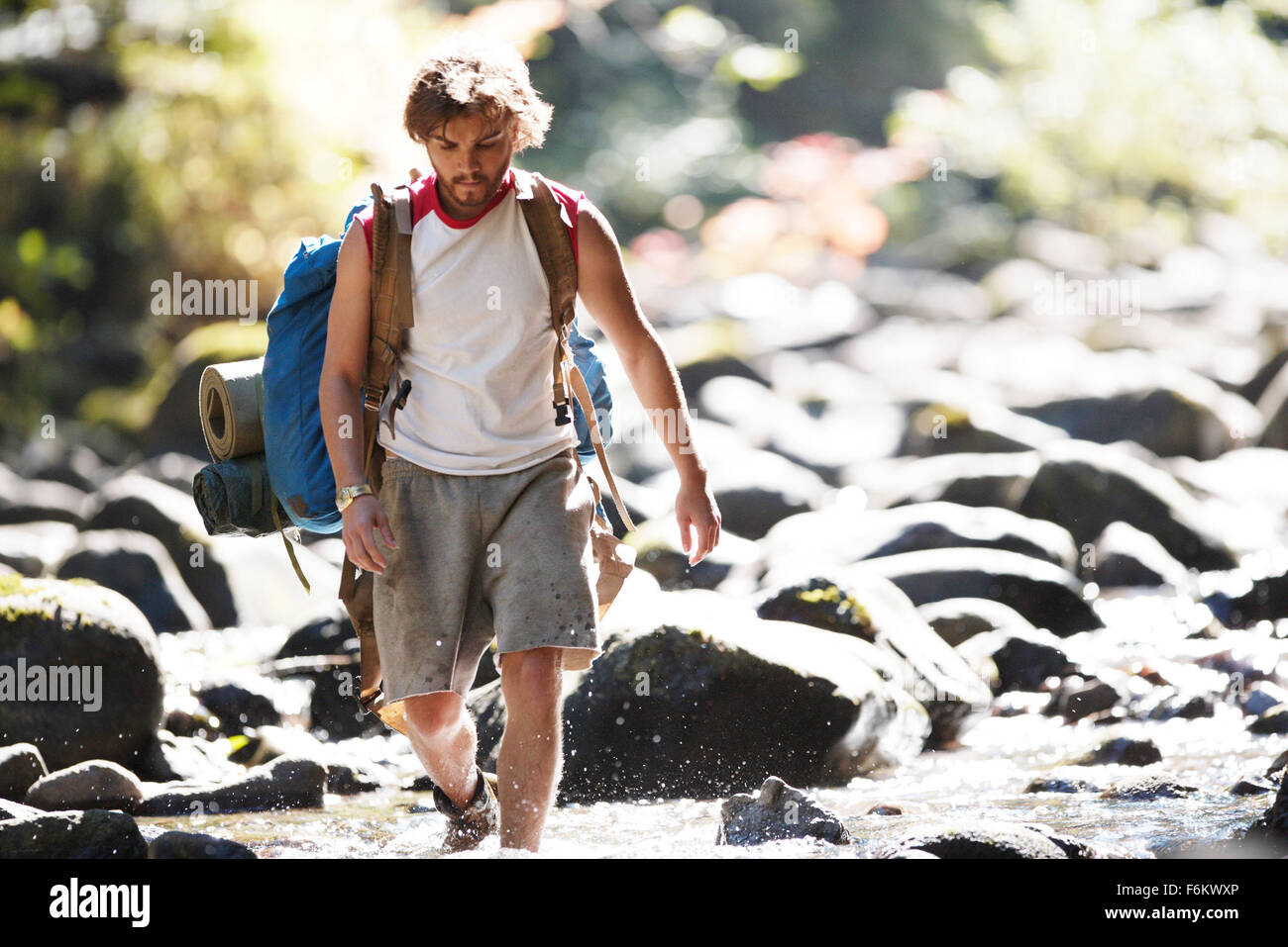 Chris mccandless Fotos und Bildmaterial in hoher Auflösung Alamy