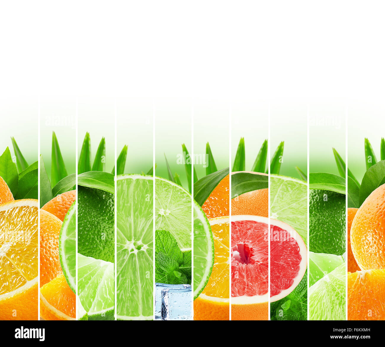Bunte Zitrusfrüchte Regenbogen Streifen Sammlung auf dem weißen Hintergrund. Stockfoto
