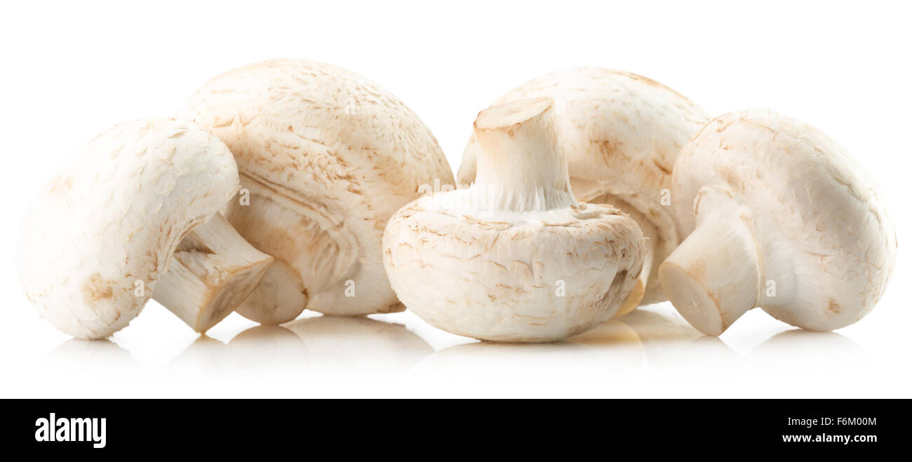 Weiße Champignons auf dem weißen Hintergrund isoliert. Stockfoto
