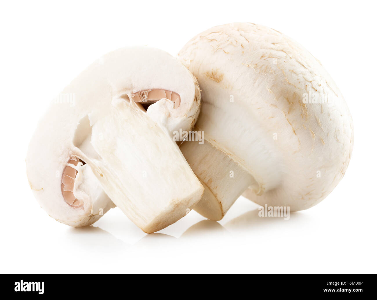 Weiße Champignons auf dem weißen Hintergrund isoliert. Stockfoto
