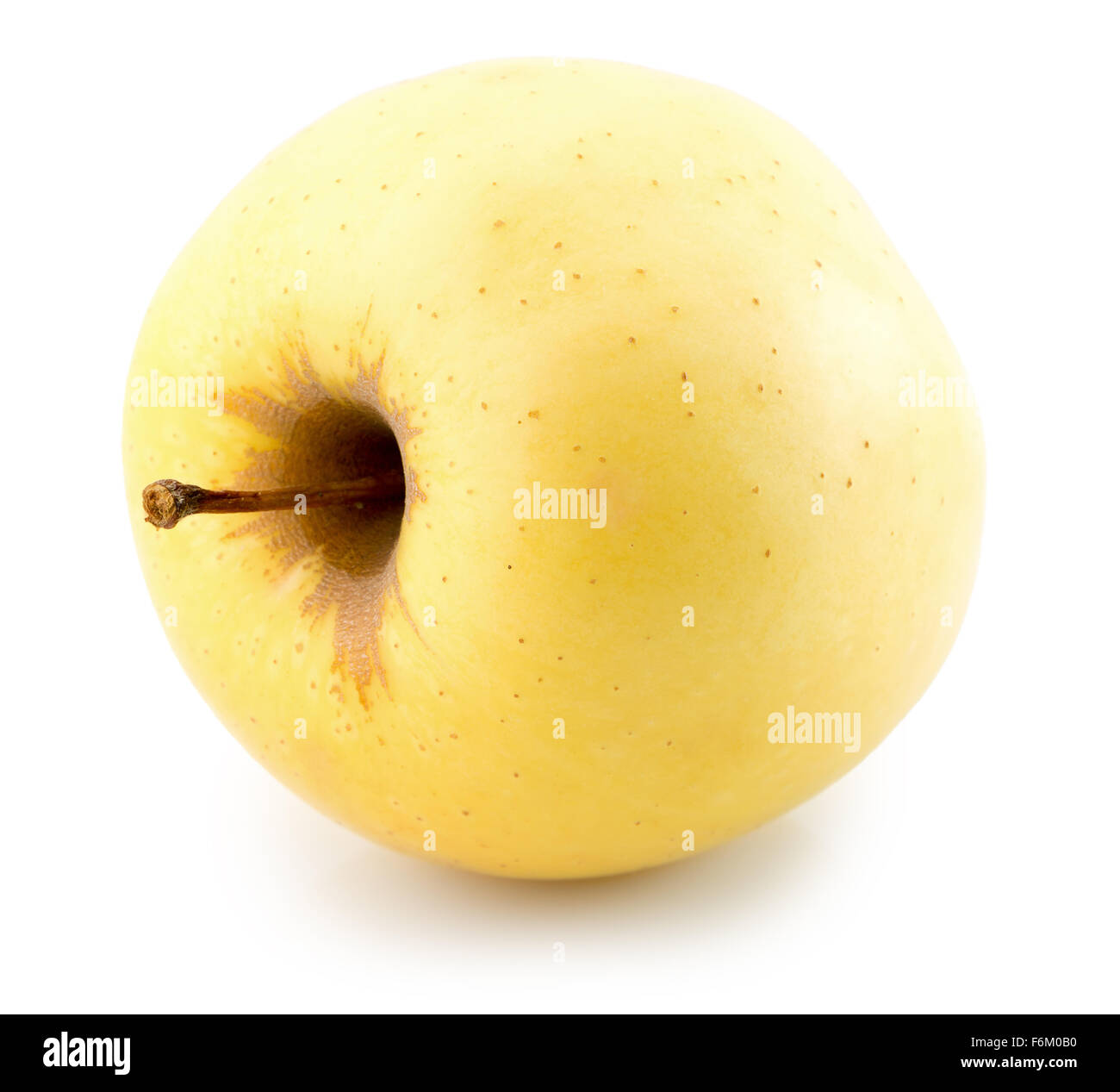gelber Apfel auf dem weißen Hintergrund isoliert. Stockfoto