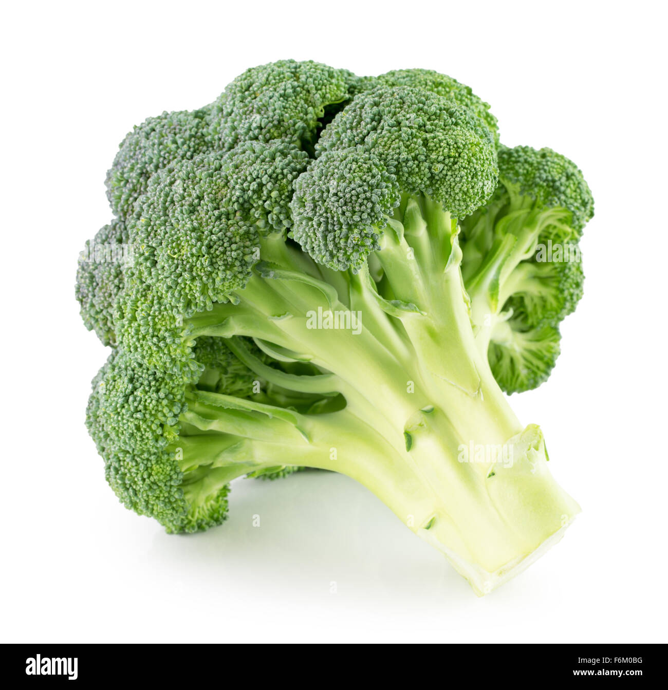 grünen Brokkoli auf dem weißen Hintergrund isoliert. Stockfoto