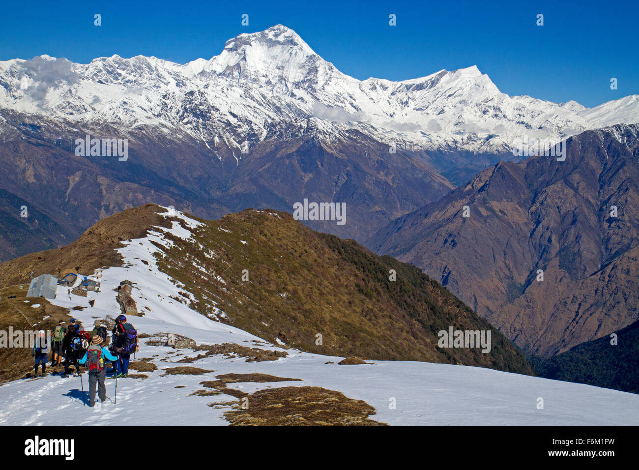 Wanderer auf Kopra Grat auf Dhaulagiri Stockfoto