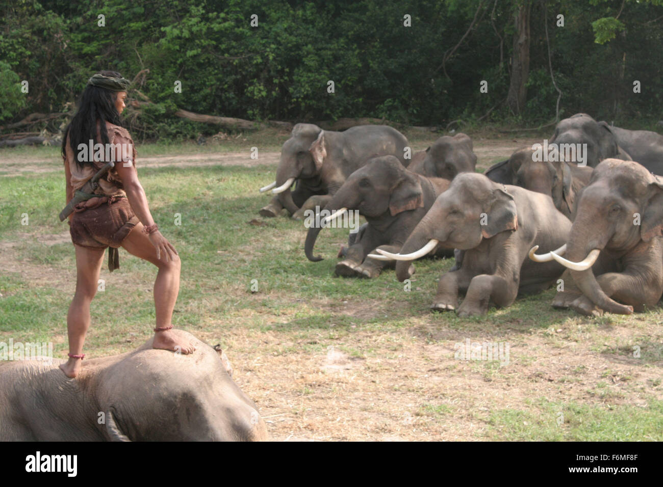 Erscheinungsdatum: 23. Oktober 2009. FILMTITEL: Ong Bak 2. STUDIO: Iyara Filme. PLOT: In 1431 erobert das Königreich Ayuttaya Gebiet von Sukhothai erweitern ihre Ländereien im Osten. Die edlen Herrn Siha Decho wird von Captain Rajasena, verraten und wird zusammen mit seiner Frau ermordet. Jedoch ist ihr Sohn Tien gerettet von einem treuen Soldaten und alleine in den Wald. IM BILD:. Stockfoto