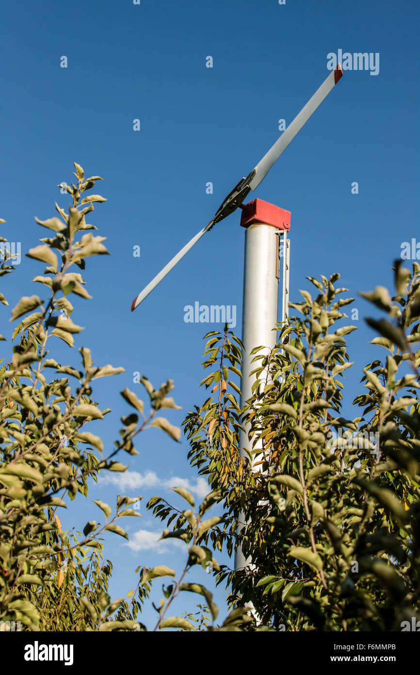 Windmaschine in einer Apfelplantage bei Draper Mädchen Country Farm in der Nähe von Hood River, Oregon, USA. Stockfoto