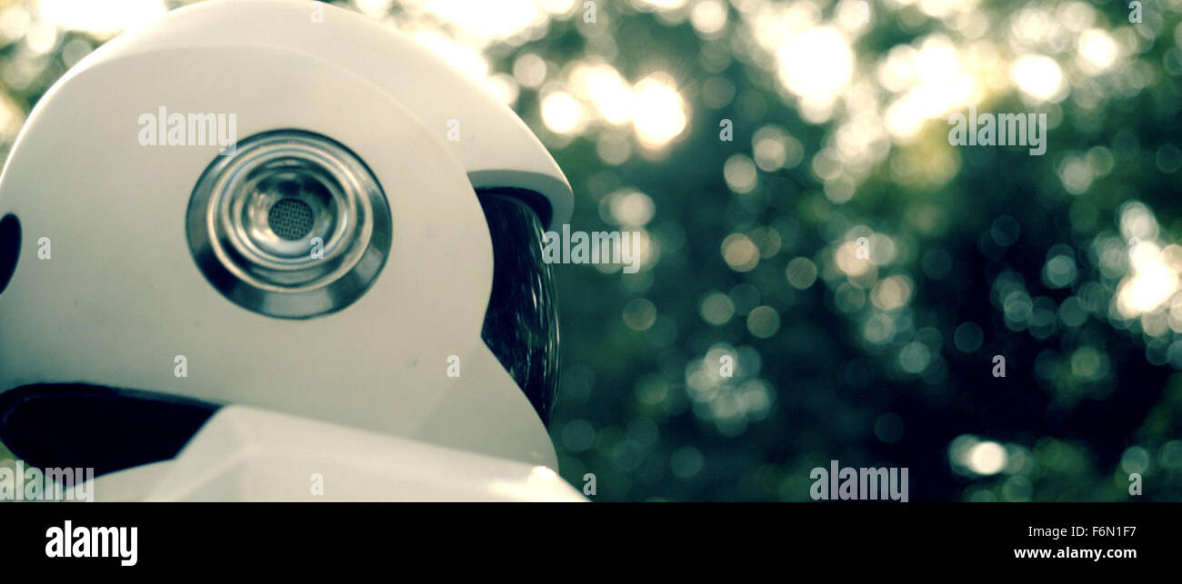 Erscheinungsdatum: 17. August 2012 Titel: Roboter und Frank STUDIO: Hund laufen Bilder Regie: Jake Schreier PLOT: in naher Zukunft eingestellt, ein Ex-Juwelendieb erhält ein Geschenk von seinem Sohn: ein Roboter-Butler programmiert, um nach ihm zu sehen. Aber bald die beiden Gefährten versuchen ihr Glück als Heist Team Bild: Roboter (Credit: C Hunde laufen Pictures/Entertainment-Bilder) Stockfoto