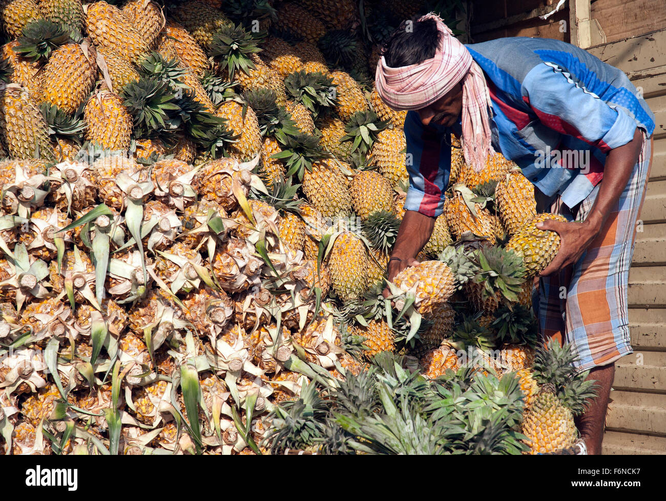 Das Bild der Ananas Entladung aufgenommen in Crawford Market, Mumbai, Indien Stockfoto