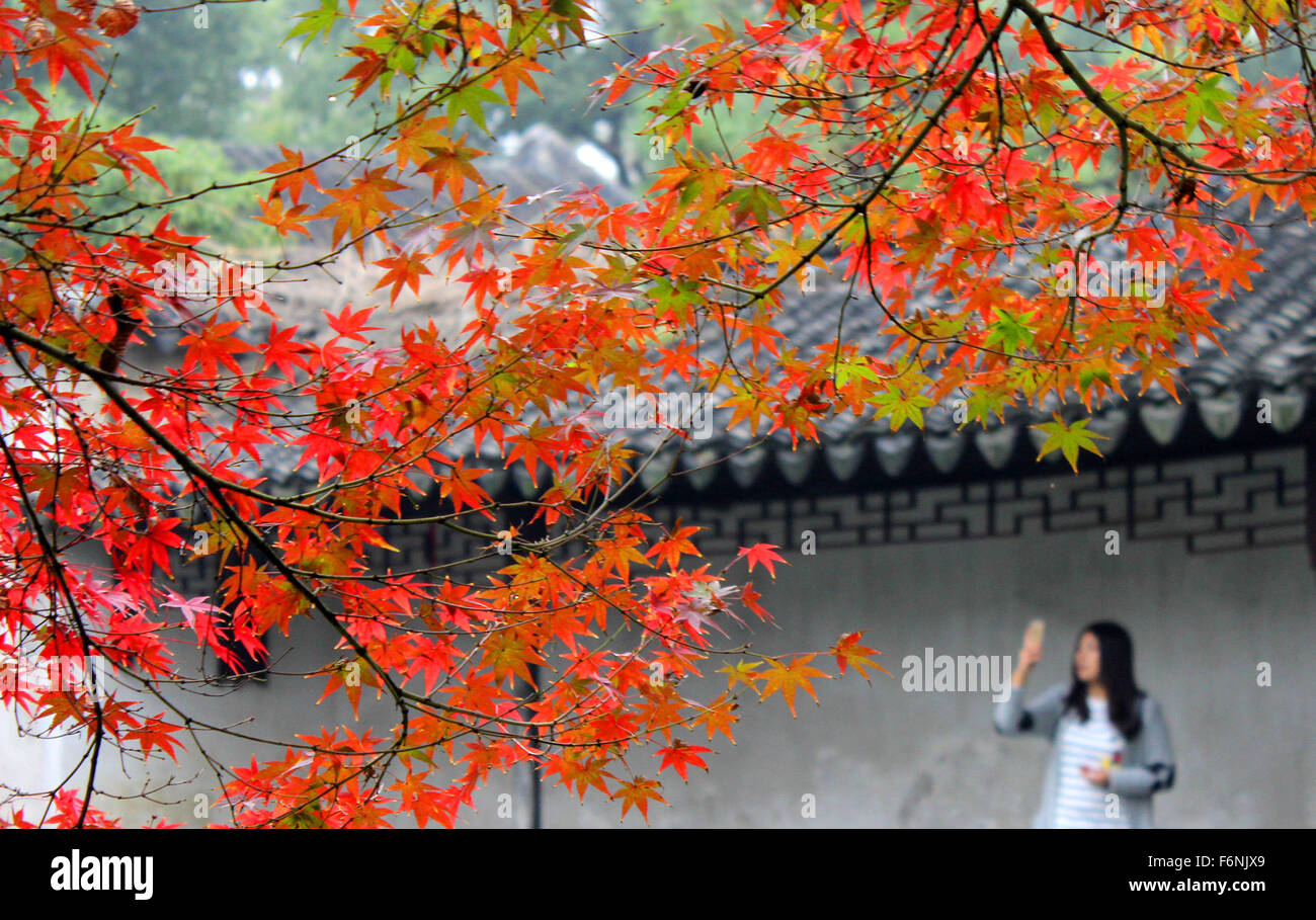 Suzhou, China Jiangsu Provinz. 17. November 2015. Menschen fotografieren der Ahornbäume im Zhuozhengyuan Garten in Suzhou City, Ost-China Jiangsu Province, 17. November 2015. Bildnachweis: Wang Rezeptoren/Xinhua/Alamy Live-Nachrichten Stockfoto