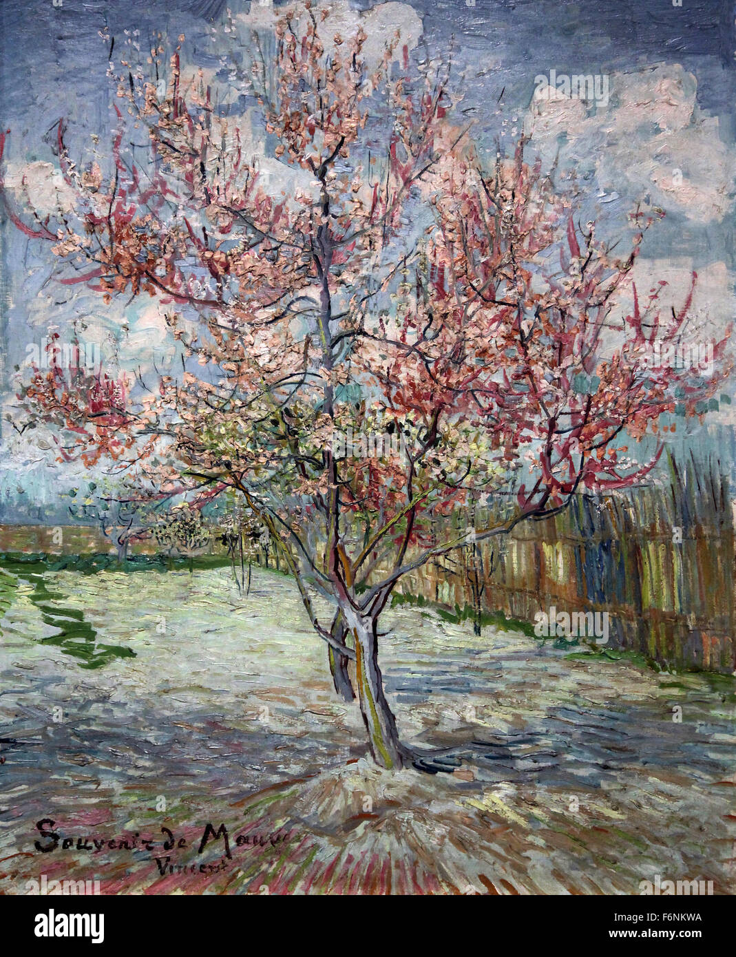 Rosa Pfirsichbäume (1888) von Vincent van Gogh (1853–1890) Stockfoto
