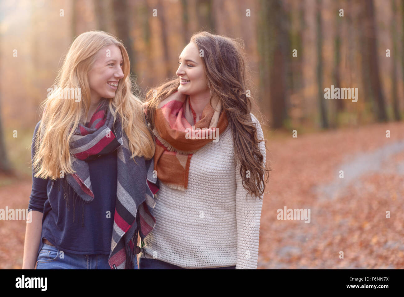 Zwei attraktive junge Freundinnen gehen Arm in Arm durch den herbstlichen Wald chatten und lächelnd ja einander, Nahaufnahme uppe Stockfoto